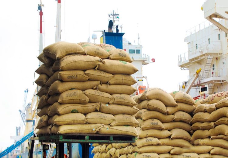 Bilan des exportations agricoles 2023