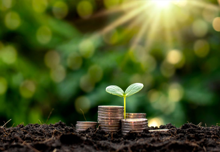 Financement durable _la Côte d’Ivoire lance un mécanisme de garantie innovant avec le soutien de la Banque mondiale.png 